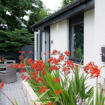 Aurora Suite B&B Coupar Angus Exteriör bild
