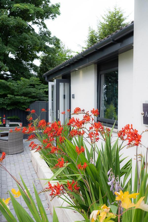 Aurora Suite B&B Coupar Angus Exteriör bild